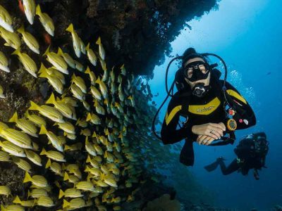 calioc-diving-courses1